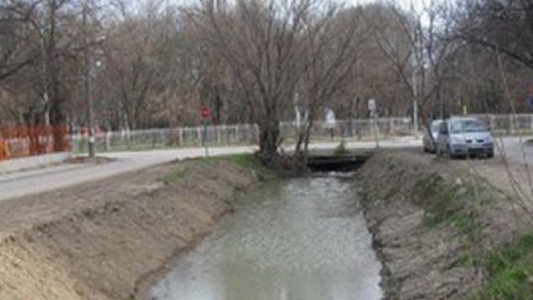 Прочистват общинските канали и шахти във Варна от вредни гризачи