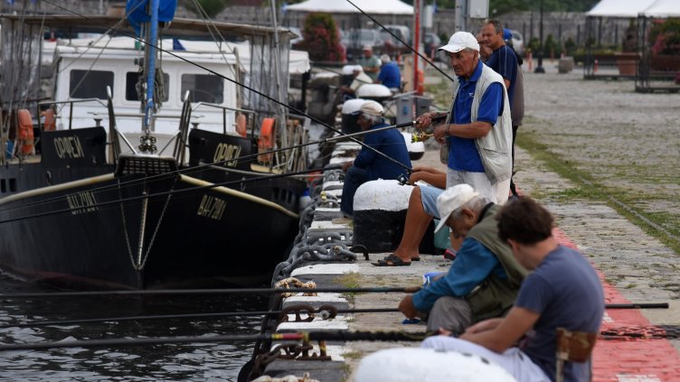 Снимка Пламен Гутинов