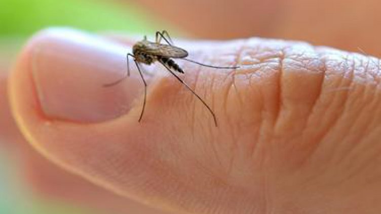 СЗО: Необходима е нова ваксина срещу малария