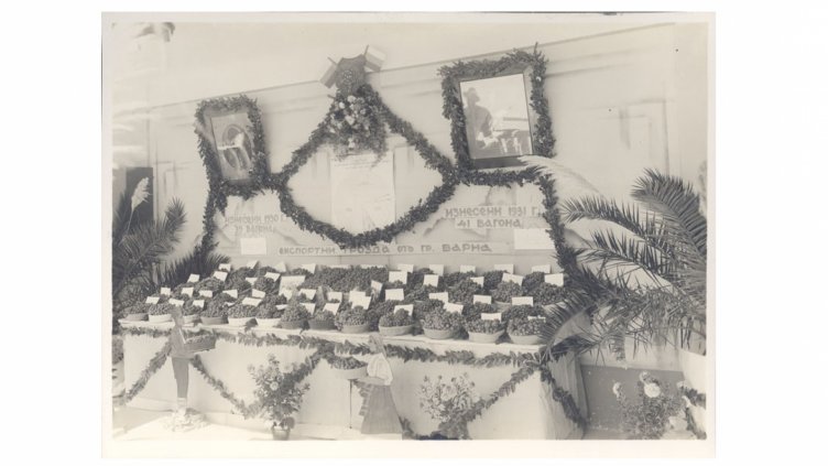 ЛОЗАРО-ВИНАРСКА И ОВОЩАРСКА ИЗЛОЖБА 19-25.ІХ.1932 Г. Изложбеният щанд на Лозаро-овощарското стопанство при Варненската градска община с данни за износа на грозде от 1928-1931 г. (Регионална библиотека “Пенчо Славейков" - Варна)