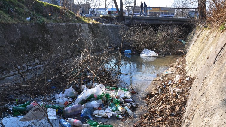 Снимка Пламен Гутинов