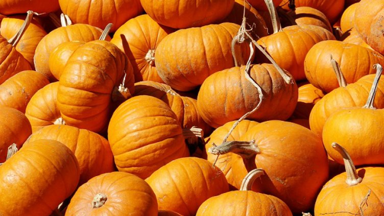 За здраво сърце хапвайте тиква