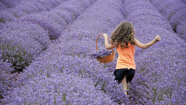 снимка: Ели Маринова