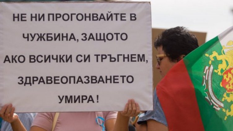 Снимка: Димитър Кьосемарлиев, Dnes.bg