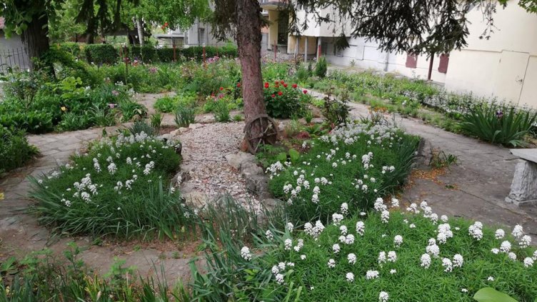 Община Варна ще финансира с до 5 000 лв. изграждането на градинки пред блоковете