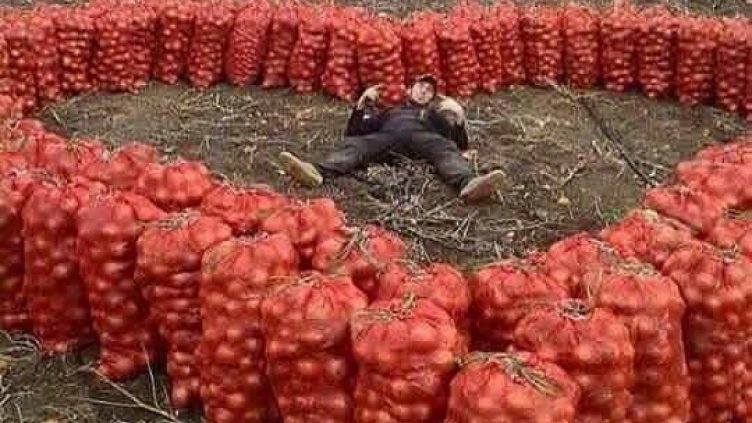 снимки: Интернет