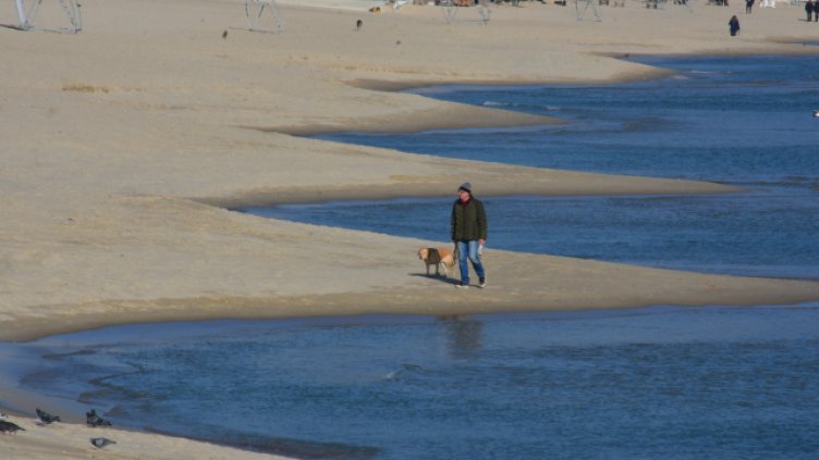 Снимка: Пламен Гутинов, архив