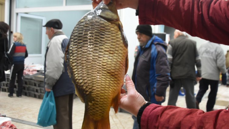 Инспектори от ИАРА са иззели повече от 7 т риба през годината