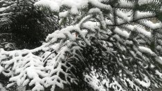 Валежи от сняг и дъжд на много места в България утре