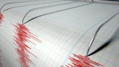  4,9 по Рихтер разлюля Пловдив