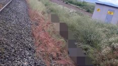 Касапница на релсите: Бързият влак от София помете стадо, уби 22 крави