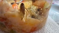 Хлебарка "изпълзя" от мусака в детска кухня (ВИДЕО)