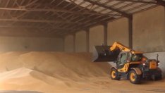 Пшеницата поскъпва по световните пазари