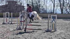 Турнир по конен спорт ще се провдe за Гергьовден във Варна