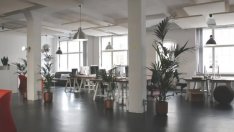 Виц на деня - 14 юни