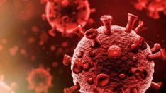 Прекарали сте коронавируса. Ясно е колко време ще имате ангитела