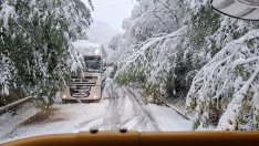 Ето кога ще завали сняг в градовете 