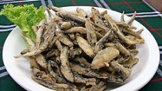 Вижте за колко може да похапнете цаца по родното Черноморие това лято