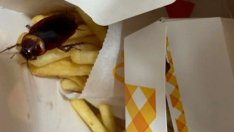 Картофки с крачета!? Хлебарка се наслади на детското меню СНИМКИ