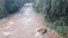 Своге си отдъхна, река Искрецка текна отново