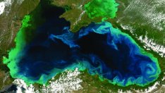 Oтбелязваме Международния ден на Черно море