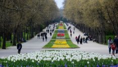 Всяко пето семейство във Варненско живее без сключен брак