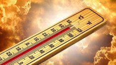 Юли е бил най-горещият месец в историята