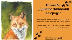 Представят дивите животни на града във Варна