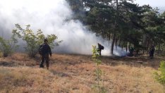 Жегата подпали България! Гори Балкана, край Перник и Благоевград