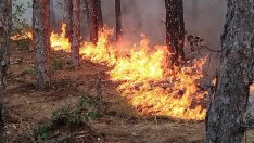 Пожар в Ямболско задейства системата BG-ALERT
