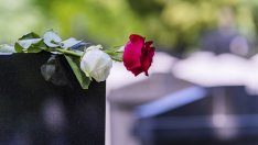 Виц на деня - 27 ноември