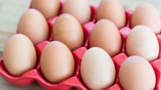 БАБХ: Внесените у нас яйца от Украйна и Латвия отговарят на ветеринарните изисквания