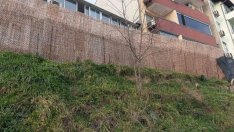 Проверка установи: Скатът край бул. "Васил Левски" във Варна е в добро състояние