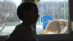 В ТЕЛК слепи ли са? Дете с церебрална парализа губи личния си асистент