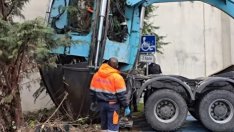 С грижа за природата: Преместиха три дървета в крайбрежната зона на Варна (ВИДЕО)