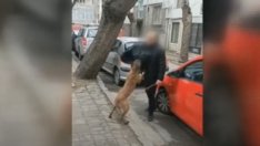 Младеж и кучето му тормозят хората в центъра на Варна (ВИДЕО)