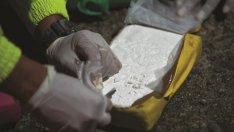 Дилъри на дрога с празни ръце! Куфар с кока падна от самолет, тупна другаде