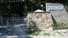 120 000 души са посетили Варненския зоопарк в пандемията