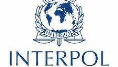 Интерпол арестува 20 души за детска порография – има задържани и у нас