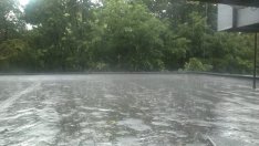 Чувствително захлаждане през новата седмица