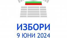 Вижте данните за избирателната активност към 17 часа