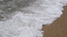 Водата във Варна е с отлично качество за къпане