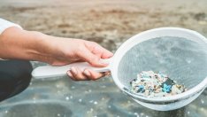 Ядем ли микропластмаса с мидите и рибите в Черно море? Учените проверяват