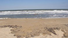 Определен е концесионерът на плаж „Шкорпиловци - централен“