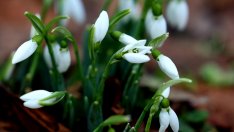 Синоптик: Времето през март ще бъде променливо