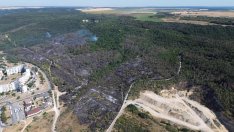 МВР с равносметка за пожарите във Варна: Изгоряха хиляди декари и домашно имущество