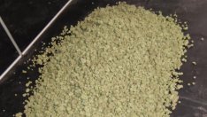 Оставиха в ареста само един от обвиняемите за високотехнологичната наркооранжерия край Варна