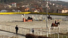 Организират конен празник за Тодоровден във "Виница"