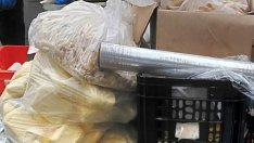 БАБХ насочи за унищожаване над 550 кг продукти при проверки в област Варна