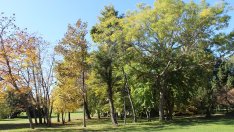 Екопаркът във Варна отваря врати за посетители на 3 март